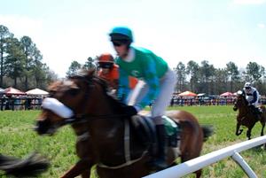 Click to view album: Wine & Dine at 2010 Spring Steeplechase